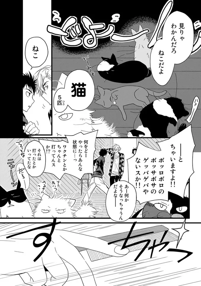 『純喫茶ねこ』 jyunkissaneko5_3.webp