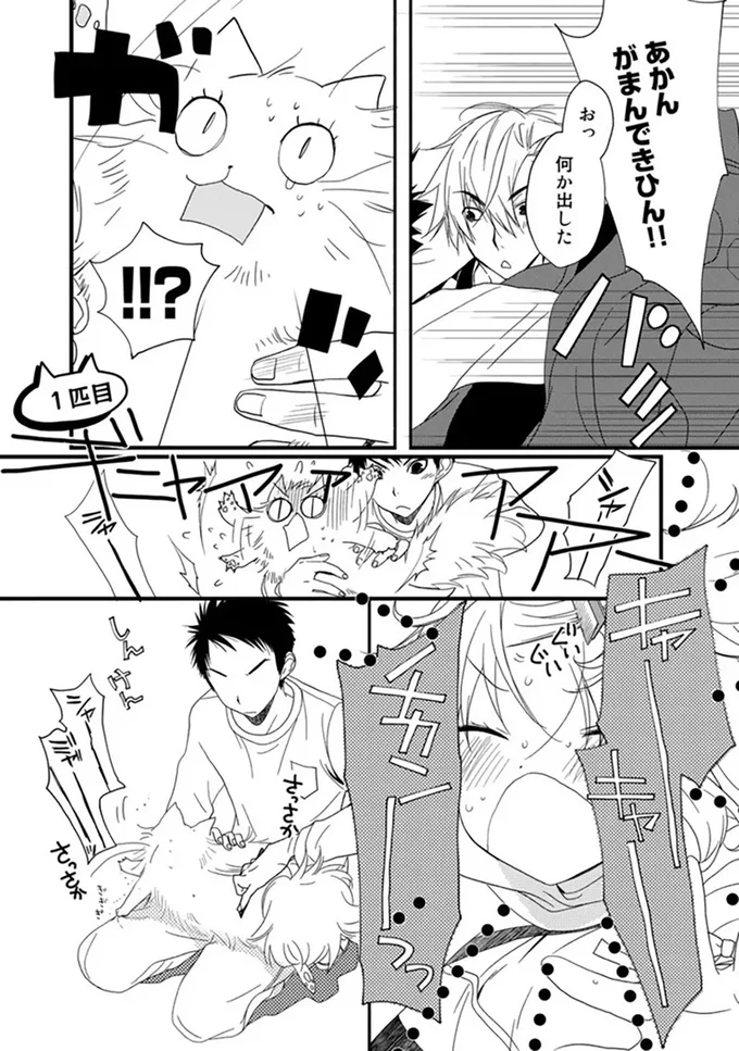 『純喫茶ねこ』 jyunkissaneko5_4.webp