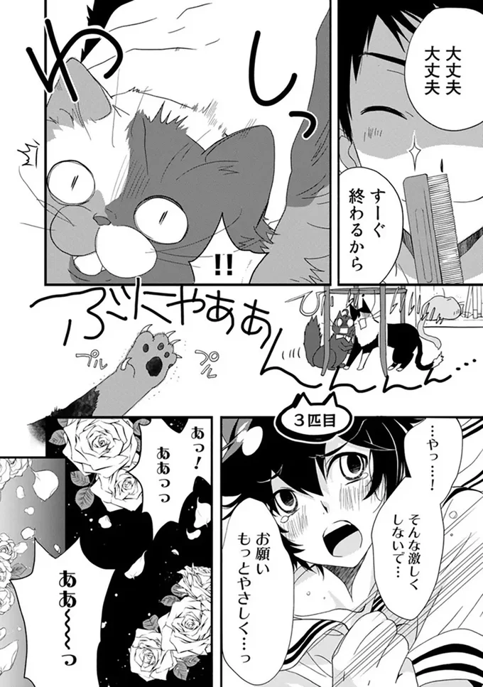 『純喫茶ねこ』 jyunkissaneko5_6.webp