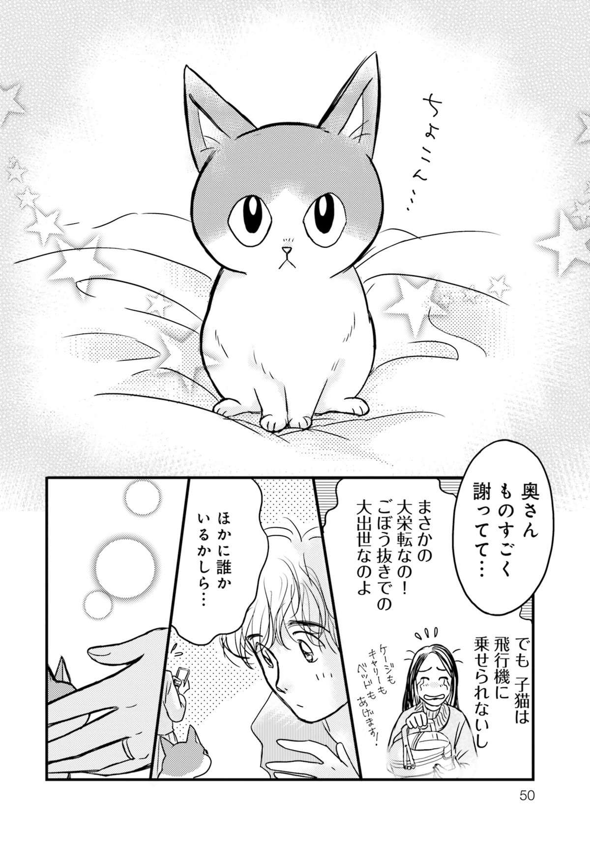 「きっと運命なんだよ」保護した子猫が再びうちに。子猫もうれしそうで...／彼とねこが待っている。  karetoneko1-img-0051.jpg