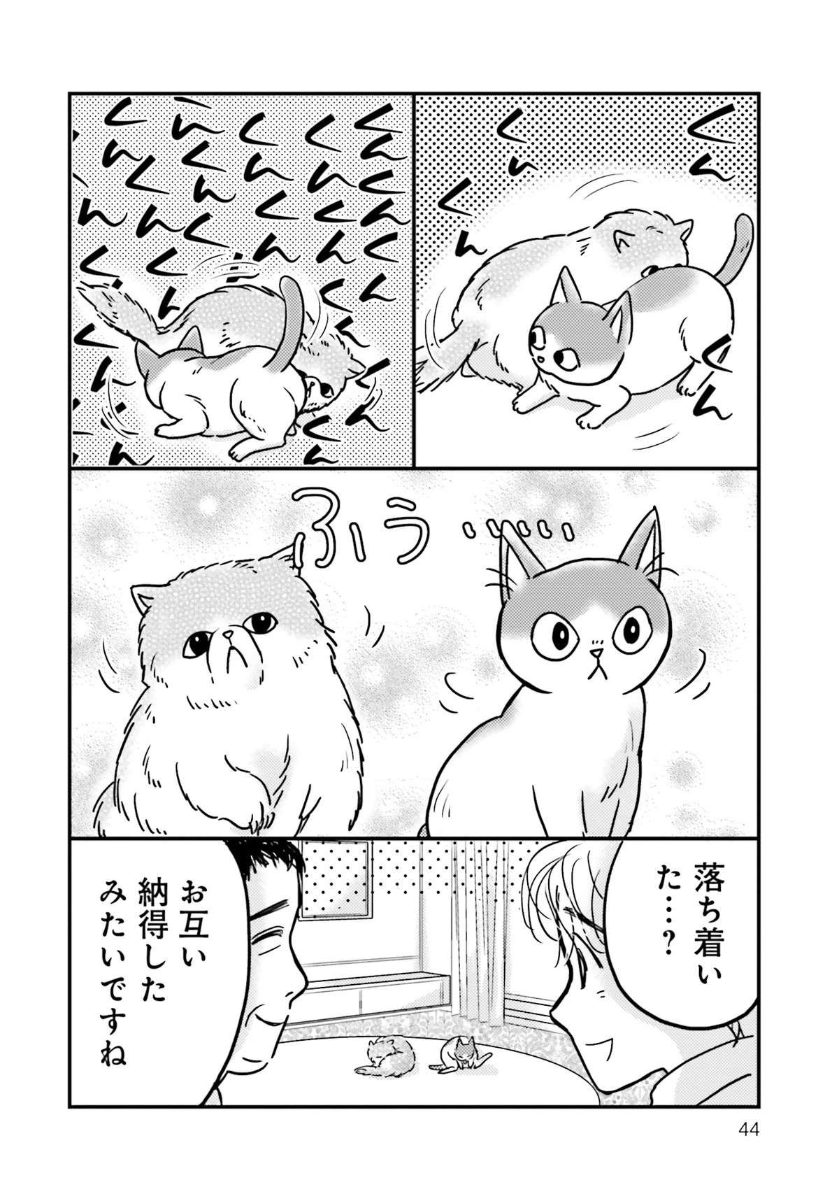 「ここ...誰かいる？」ケージの外に気配を感じた愛猫。隠れていたのは？／彼とねこが待っている。3 karetoneko3-img-0045.jpg