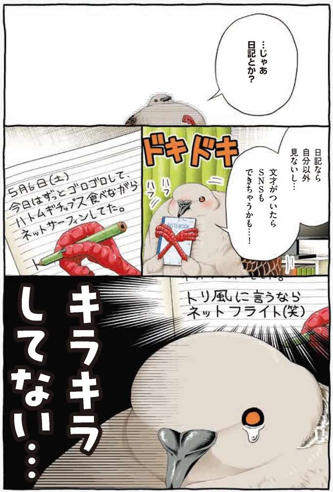 『キジバトくん日記』 kijibato1_2.jpeg