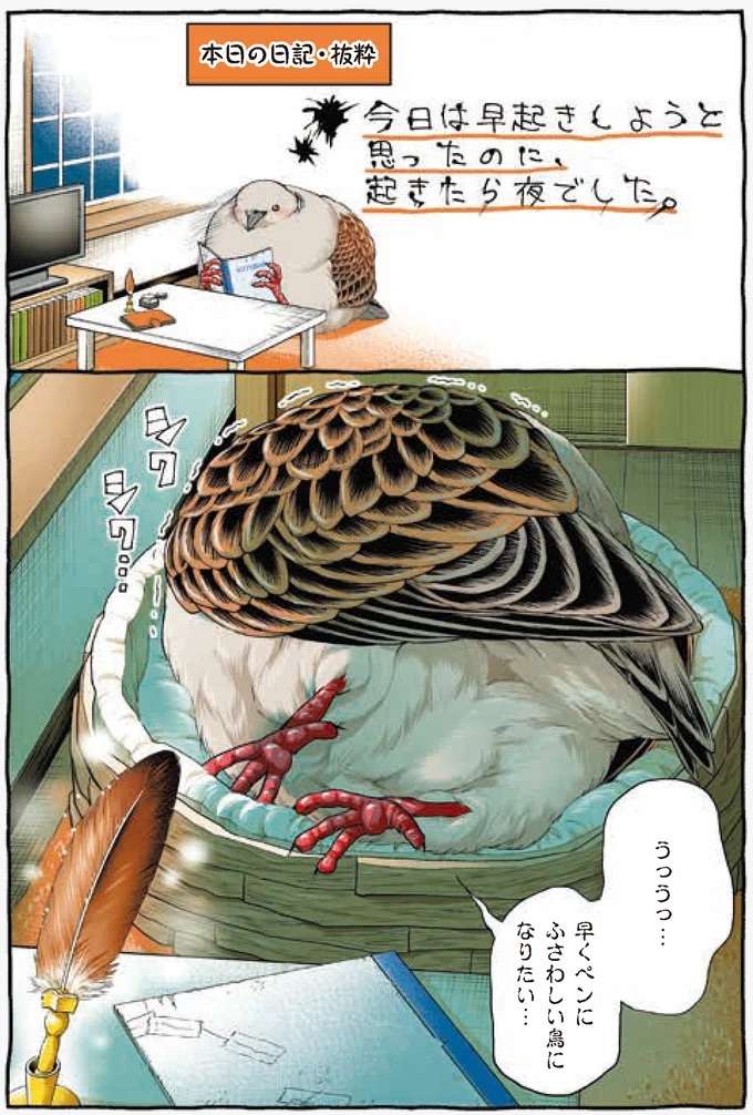 『キジバトくん日記』 kijibato3_2.jpeg