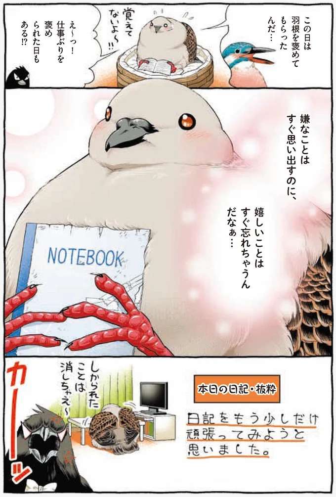 『キジバトくん日記』 kijibato3_4.jpeg