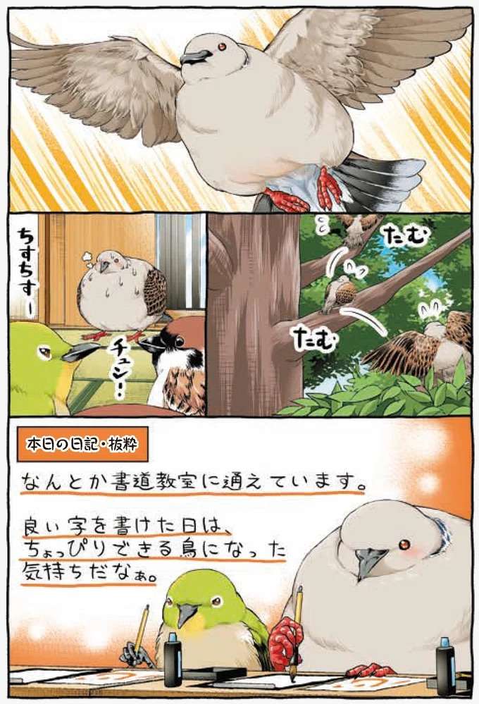 『キジバトくん日記』 kijibato5_3.jpeg