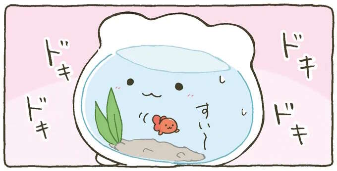 はじめてのお友だち。 気に入った？ それとも...不安と期待にソワソワ／金魚鉢ちゃん ずっといっしょのまいにち