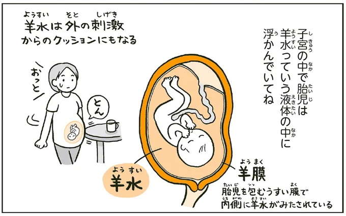 小2が振り返る「生まれてきたときのこと」。子宮の中で胎児はどう育つ？／こどもせいきょういくはじめます