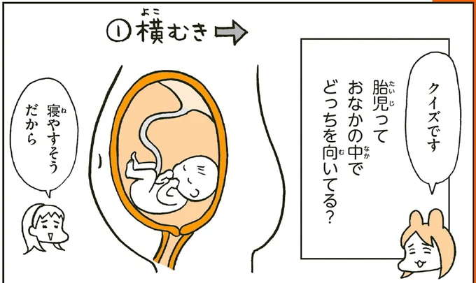 小2たちが考える「胎児は子宮の中でどこを向いてる？」／こどもせいきょういくはじめます