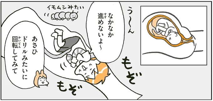 赤ちゃんはどんな風に生まれてくる？ 小2男子が胎児になって疑似体験／こどもせいきょういくはじめます