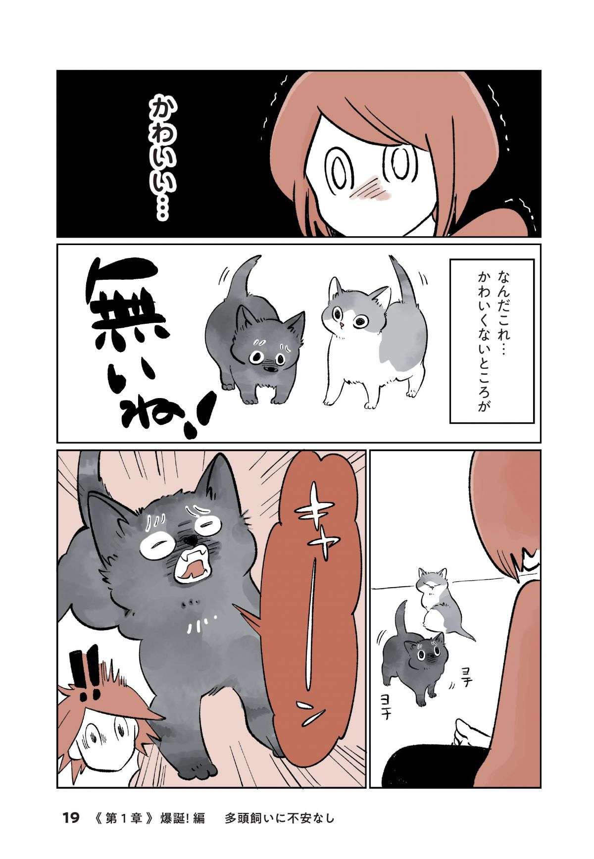 「ちまっ」ヨチヨチ歩く2匹の子猫が我が家に！  不安も吹き飛ぶ「衝撃のかわいさ」／こねこのドレイ koneko_dorei2-4.jpg