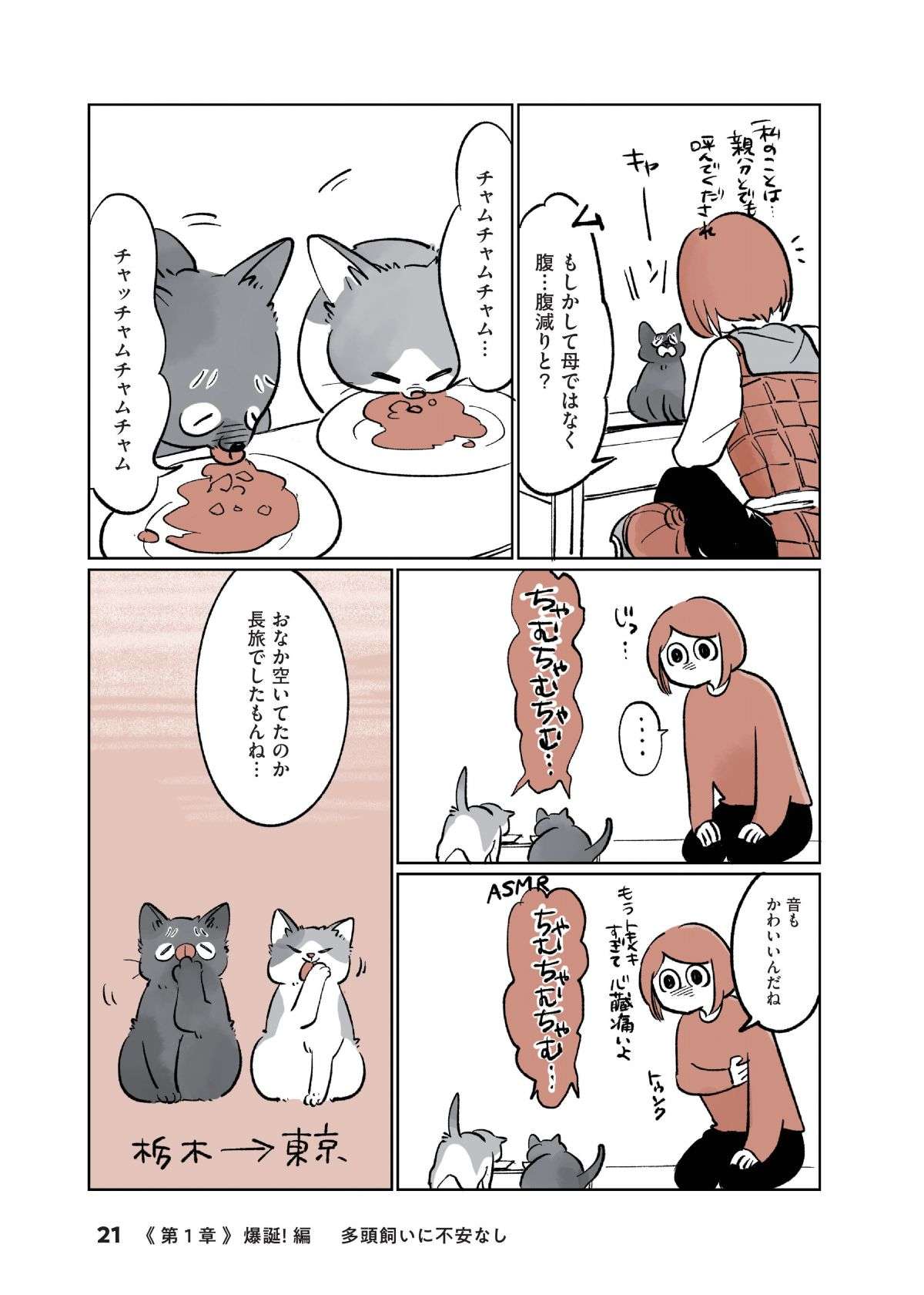 「ちまっ」ヨチヨチ歩く2匹の子猫が我が家に！  不安も吹き飛ぶ「衝撃のかわいさ」／こねこのドレイ koneko_dorei2-6.jpg