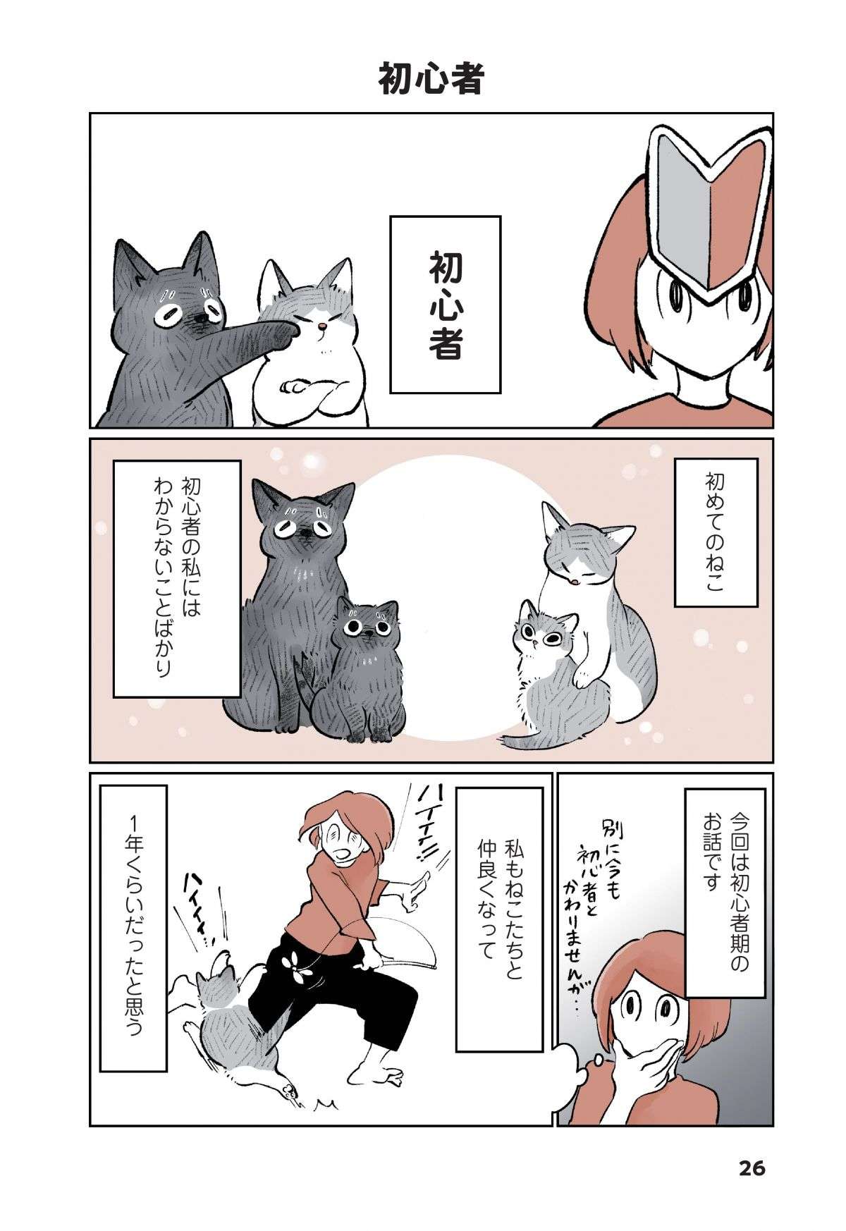 「なんか吐いた！」猫飼い初心者が焦って病院に駆け込むと、先生は「意外な反応」で...／こねこのドレイ koneko_dorei3-1.jpg