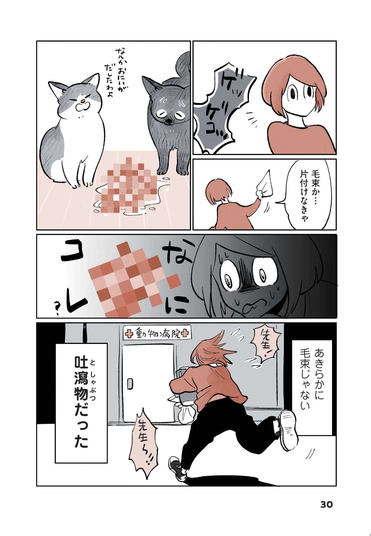 「なんか吐いた！」猫飼い初心者が焦って病院に駆け込むと、先生は「意外な反応」で...／こねこのドレイ koneko_dorei3-5.jpg