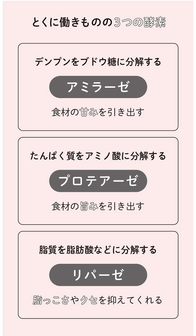 腸内環境の改善、疲労回復、アンチエイジング...「塩麹の効果」とは／体の内側からきれいになる 麹のレシピ kouji_P24-25_01.jpg