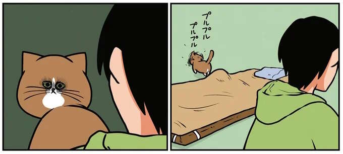 「お前だな」とにらんでくる猫。ぬ、濡れ衣です...／鴻池剛と猫のぽんた 1-3