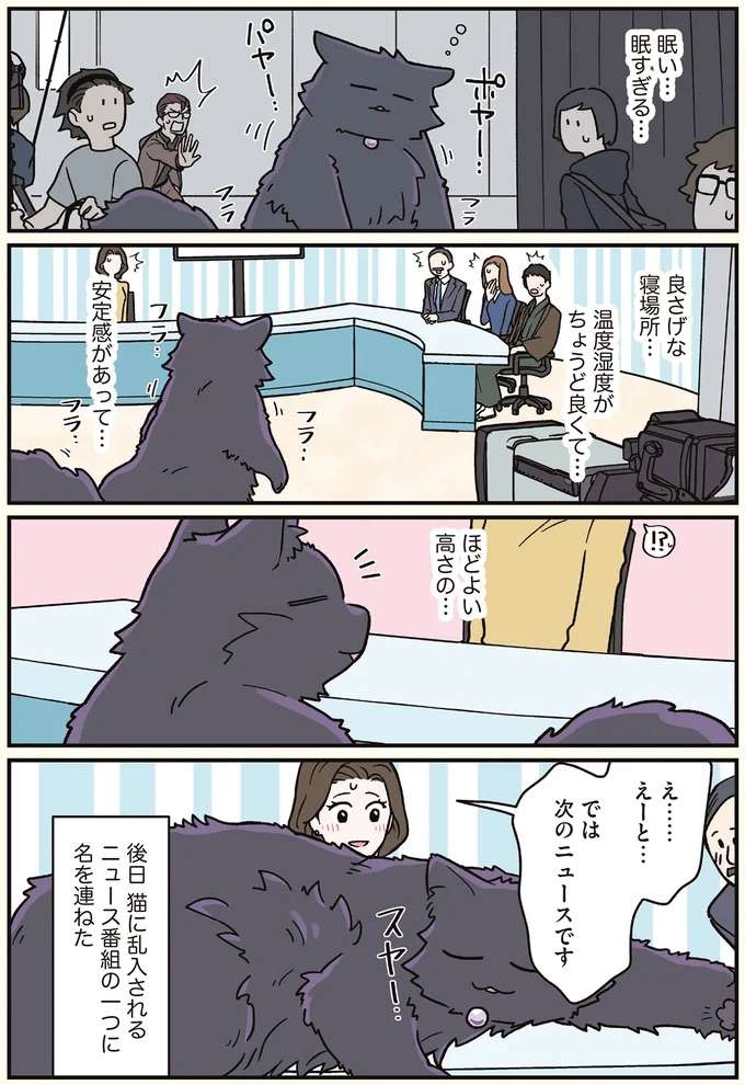 ニュース番組に巨大な猫が乱入！ その結果...!?／ブラック企業の社員が猫になって人生が変わった話7 kurobe5_1.jpeg