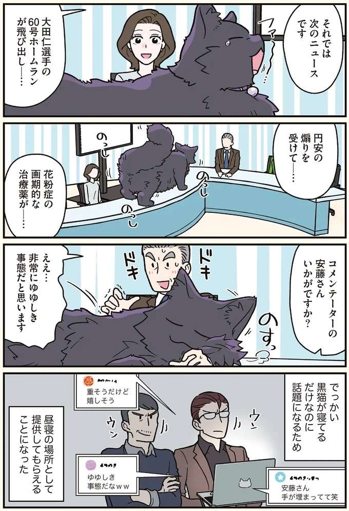 ニュース番組に巨大な猫が乱入！ その結果...!?／ブラック企業の社員が猫になって人生が変わった話7 kurobe5_3.jpeg
