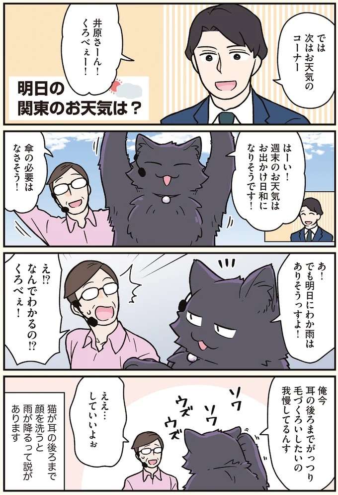 お天気コーナーに占いコーナーも⁉ 猫になった男性がテレビ番組で活躍／ブラック企業の社員が猫になって人生が変わった話7 kurobe6_1.jpeg