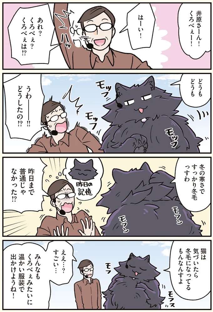 『ブラック企業の社員が猫になって人生が変わった話7 くろべぇの場合』 kurobe6_2.jpeg