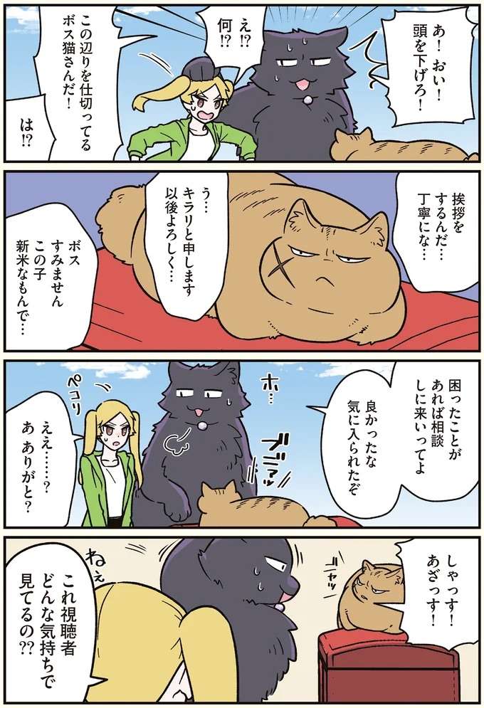 アイドルがいきなりアウェー感!? 猫になった男性と「ねこ散歩」番組に出演／ブラック企業の社員が猫になって人生が変わった話7 kurobe9_2.jpeg