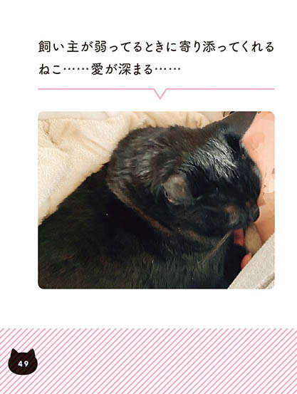 え？ 猫の鼻の色って...？ ねこ初心者が驚いた、お猫さまの個性／黒猫ろんと暮らしたら2（8） | 毎日が発見ネット