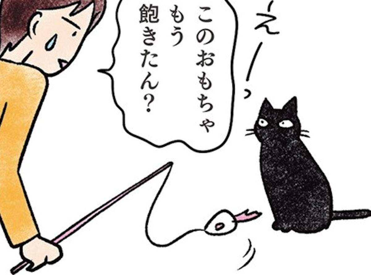 「飽きたん？」猫はおもちゃを動かしても無反応。その「猫っぽい理由」は／黒猫ナノとキジシロ猫きなこ