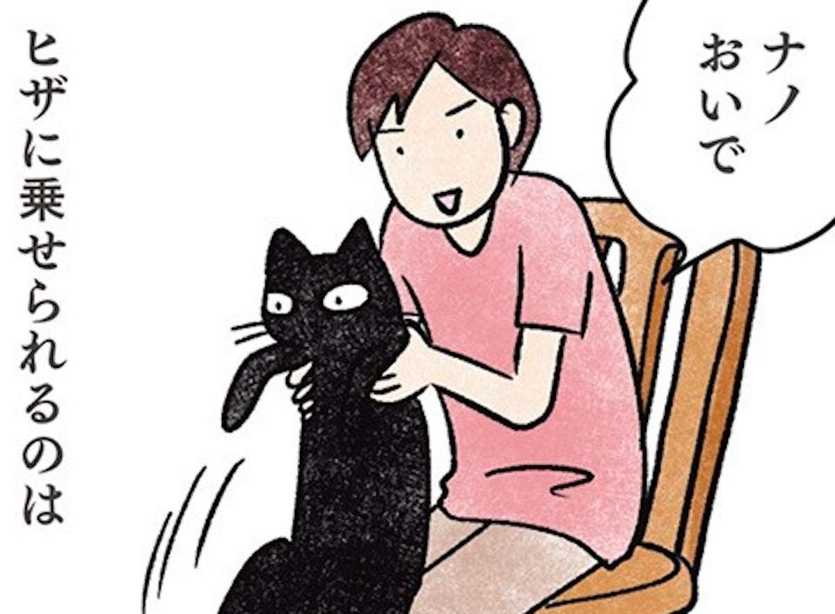 うちの猫はヒザに乗せられるのが嫌。でも「こんな時」は自分から乗ってくる／黒猫ナノとキジシロ猫きなこ