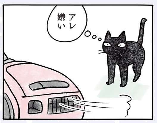 「なんで？」うちの猫は掃除機が嫌い。でも、「これ」だと余計怖いみたいで／黒猫ナノとキジシロ猫きなこ kuroneko_nano9-1.jpg