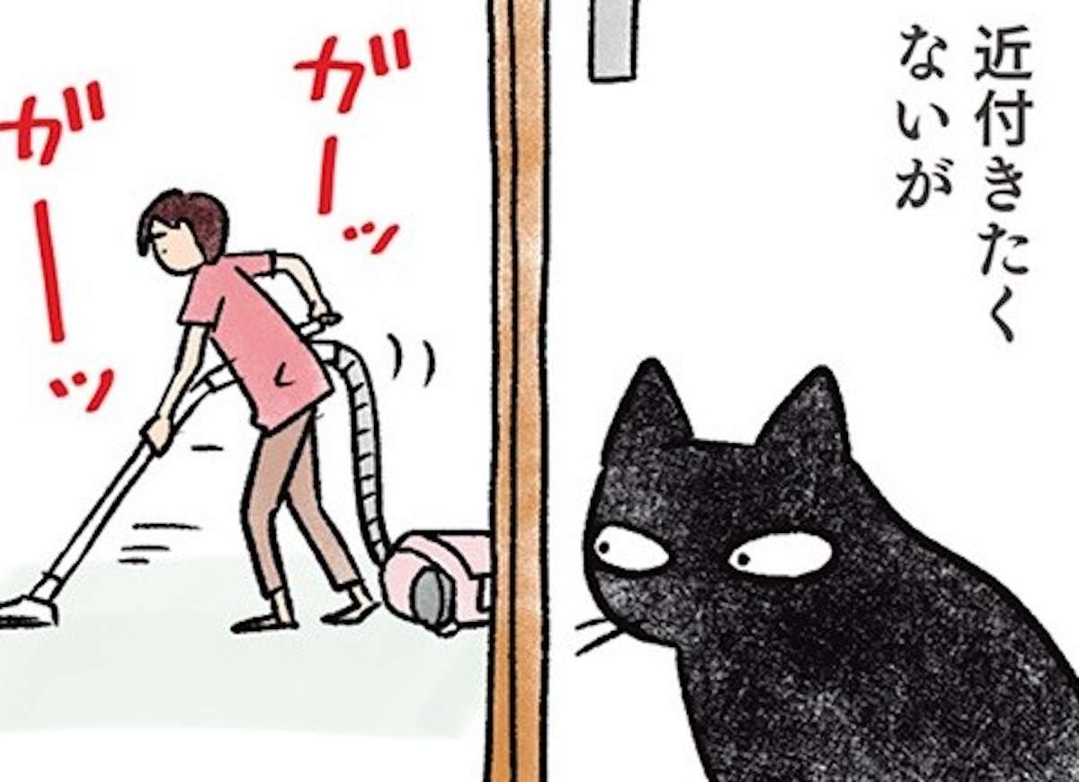 「なんで？」うちの猫は掃除機が嫌い。でも、「これ」だと余計怖いみたいで／黒猫ナノとキジシロ猫きなこ
