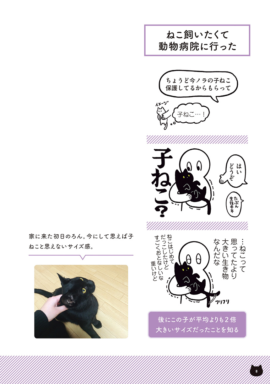 思ってたのと違うな ノラ子ねこの ろん と出会ったら 黒猫ろんと暮らしたら 毎日が発見ネット