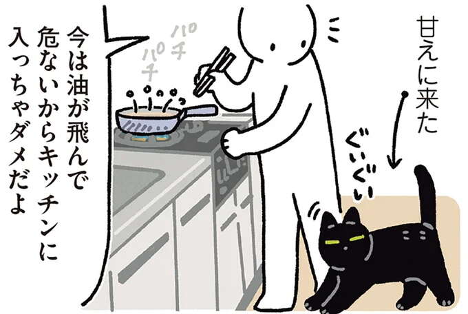 なんてお利口なの! 猫が「キッチンに入っちゃダメだよ」と言われて.../黒猫ろんと暮らしたら7