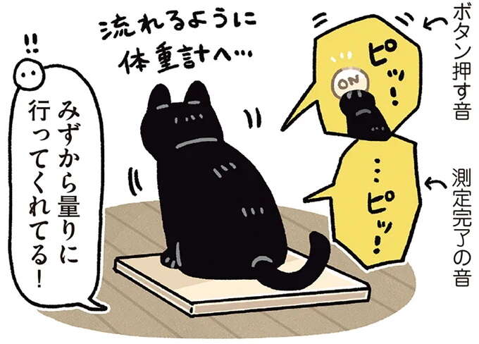 「ゴハン食べたら体重量るから」と言われた猫が、流れるように向かった先は!?/黒猫ろんと暮らしたら7