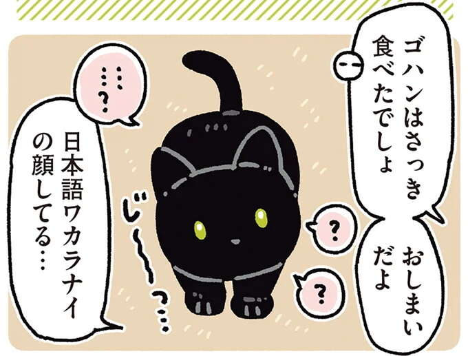 「言葉がわからないふり」もできる猫。イヤなことを提案されたら?/黒猫ろんと暮らしたら7