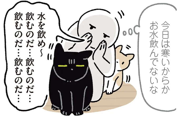 「しぶしぶ感」がすごい猫。飼い主が水を飲め~としつこく言い続けたら/黒猫ろんと暮らしたら7