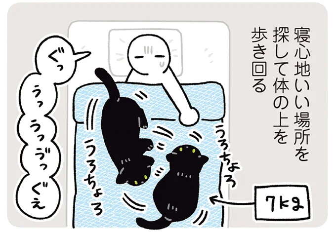 寝心地いい場所を探す猫。飼い主の体の上を歩き回った結果...かわいい!/黒猫ろんと暮らしたら7