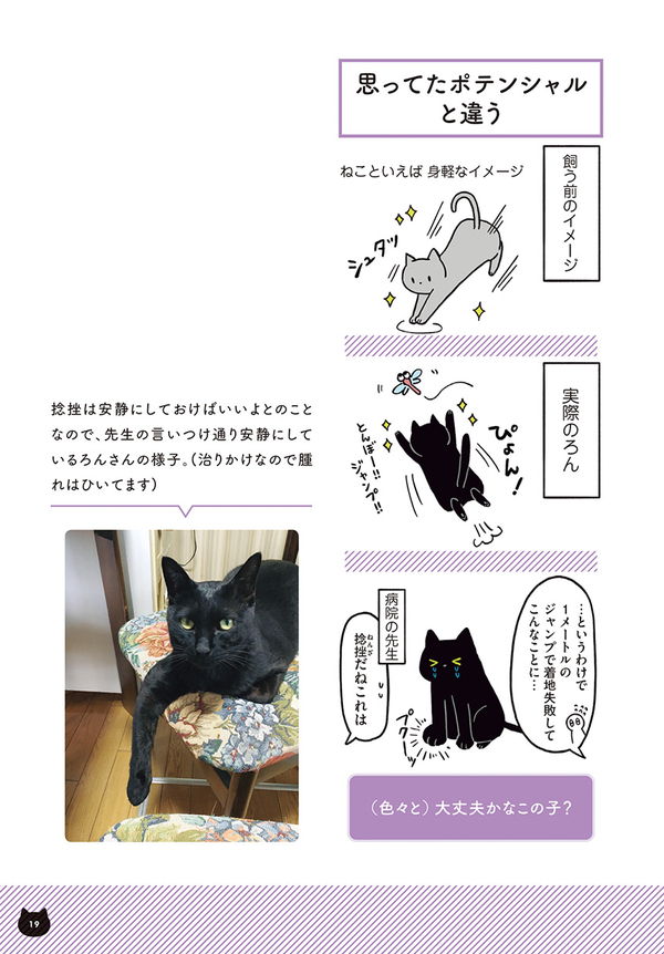 ほんとに猫なの ジャンプで捻挫 セルフお手てでオヤツをご所望 黒猫ろんと暮らしたら 毎日が発見ネット Goo ニュース