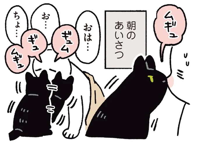 愛猫に「朝起こして」と伝えると、飼い主が起きるまでひたすら...／黒猫ろんと暮らしたら