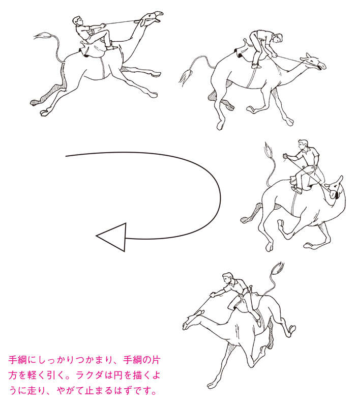 【不測の事態に備える！】突然、乗っていたラクダが暴走。手綱につかまる？ いっそ飛び降りる？ kurumagoto_01_01.jpg