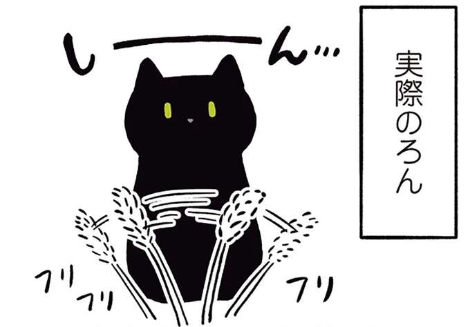 猫といえば「ねこじゃらし 」のはずが...!?  遊ぼうと思ったら...えっ／黒猫ろんと暮らしたら