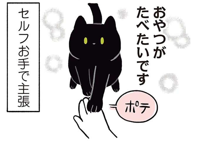 猫の「おやつが食べたい」アピール。控えめな主張が...かわいい！／黒猫ろんと暮らしたら