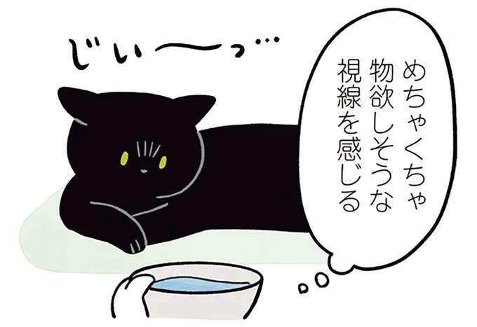 猫に水を飲んでもらおうとしてもフイッ。これはわざわざ起きたくないだけ...？／黒猫ろんと暮らしたら2