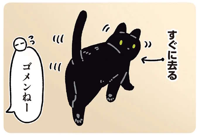 猫は意外と言葉が通じる。「キッチンに入っちゃダメだよ」と言ったら...おりこう！／黒猫ろんと暮らしたら7