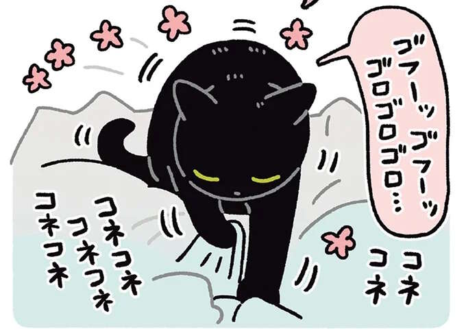 「おはよー」と言うだけでゴロゴロ上機嫌の愛猫。さらに「なでなで」が加わると...!?／黒猫ろんと暮らしたら7