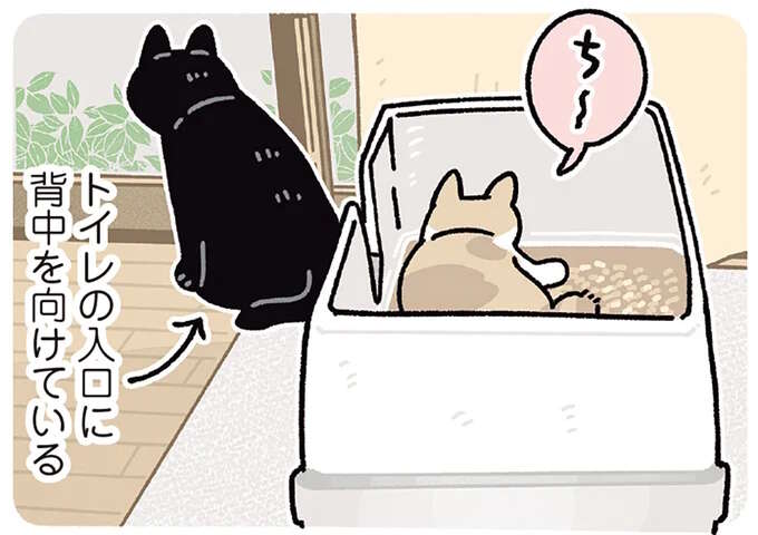 さすが紳士な猫！ 追いかけっこ中にメス猫がトイレに入ると...／黒猫ろんと暮らしたら7