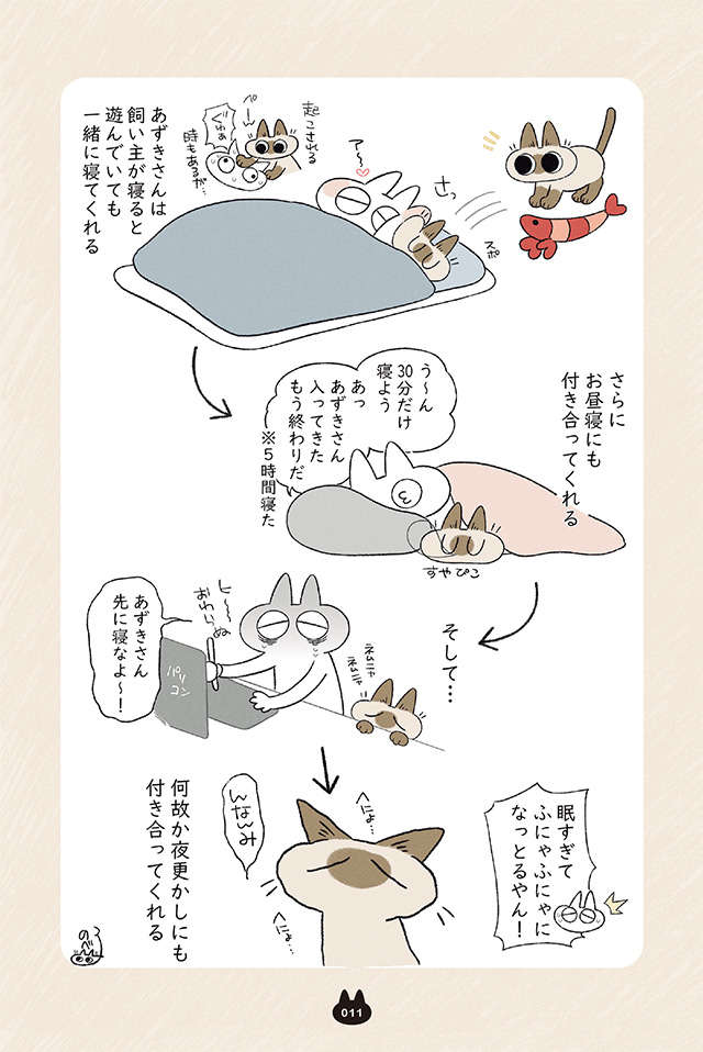 お昼寝や夜更かしも。飼い主と一緒に行動する愛猫、付き合い良すぎ...！／まだまだ!!! シャム猫あずきさん madamada_p11.jpg