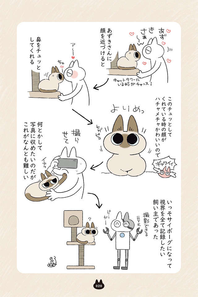 怒るとしっぽをぶんぶん振る愛猫。不機嫌アピールも愛おしくて／まだまだ!!! シャム猫あずきさん madamada_p20.jpg