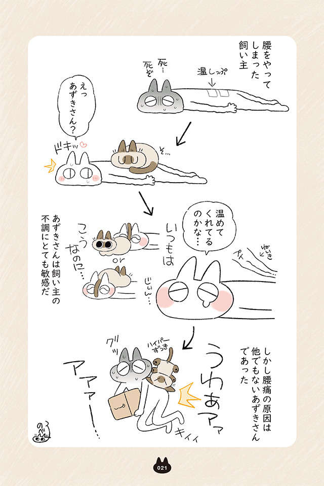 怒るとしっぽをぶんぶん振る愛猫。不機嫌アピールも愛おしくて／まだまだ!!! シャム猫あずきさん madamada_p21.jpg