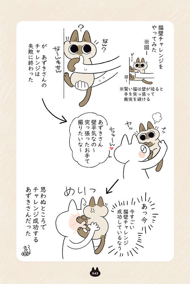 猫が何かやらかした時、怒れる？ こんな「甘えた態度」だったら...／まだまだ!!! シャム猫あずきさん madamada_p43.jpg