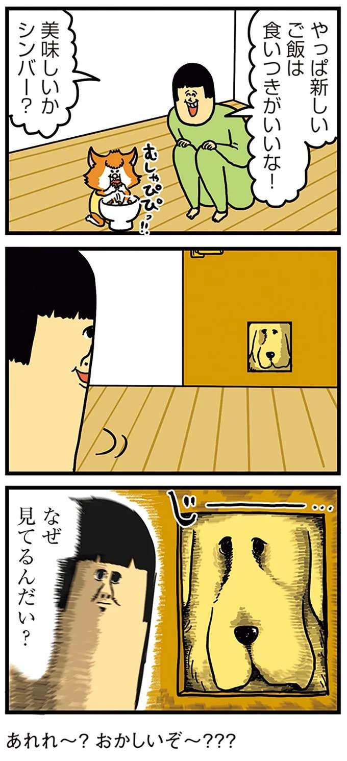 『まめきちまめこニートの日常 4〜5』 mame3_3.jpeg