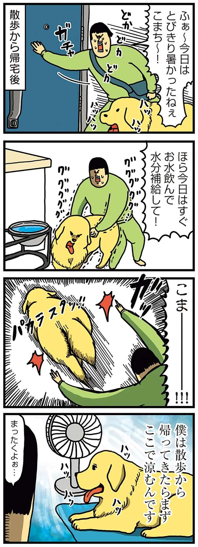 『まめきちまめこニートの日常 4〜5』 mame6_3.jpeg